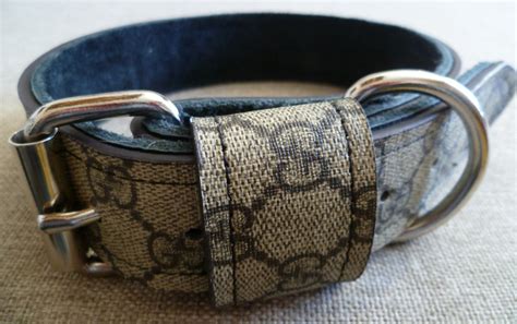 cat gucci collar|Gucci dog collar large.